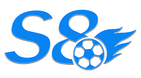 s8vn.in